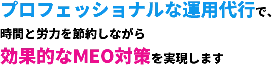 プロフェッショナルな運用代行