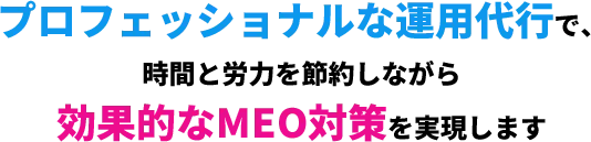 プロフェッショナルな運用代行